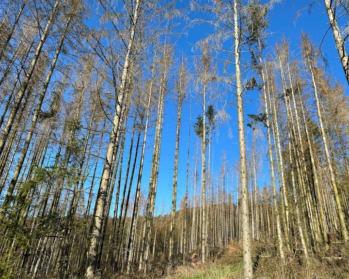 Rodenberg-Alm